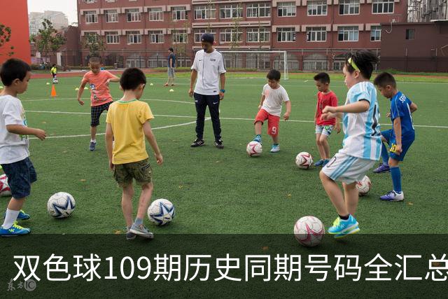双色球109期历史同期号码全汇总
